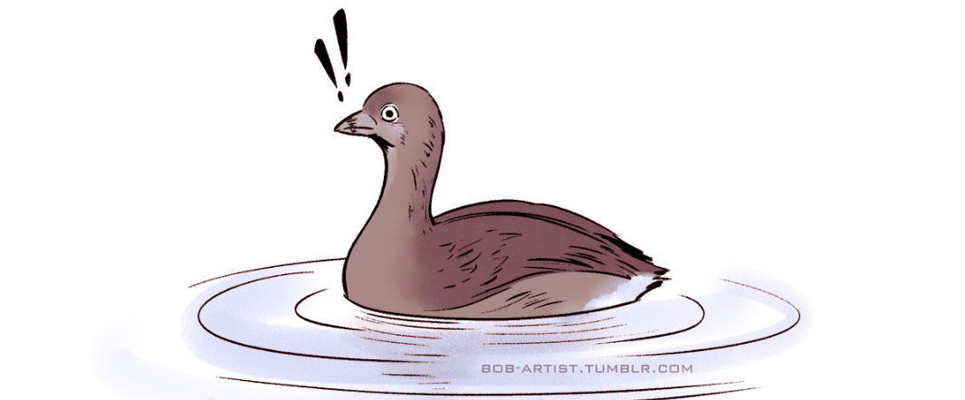 Illustration of a pied-billed grebe in the water, looking surprised with two exclamation marks.