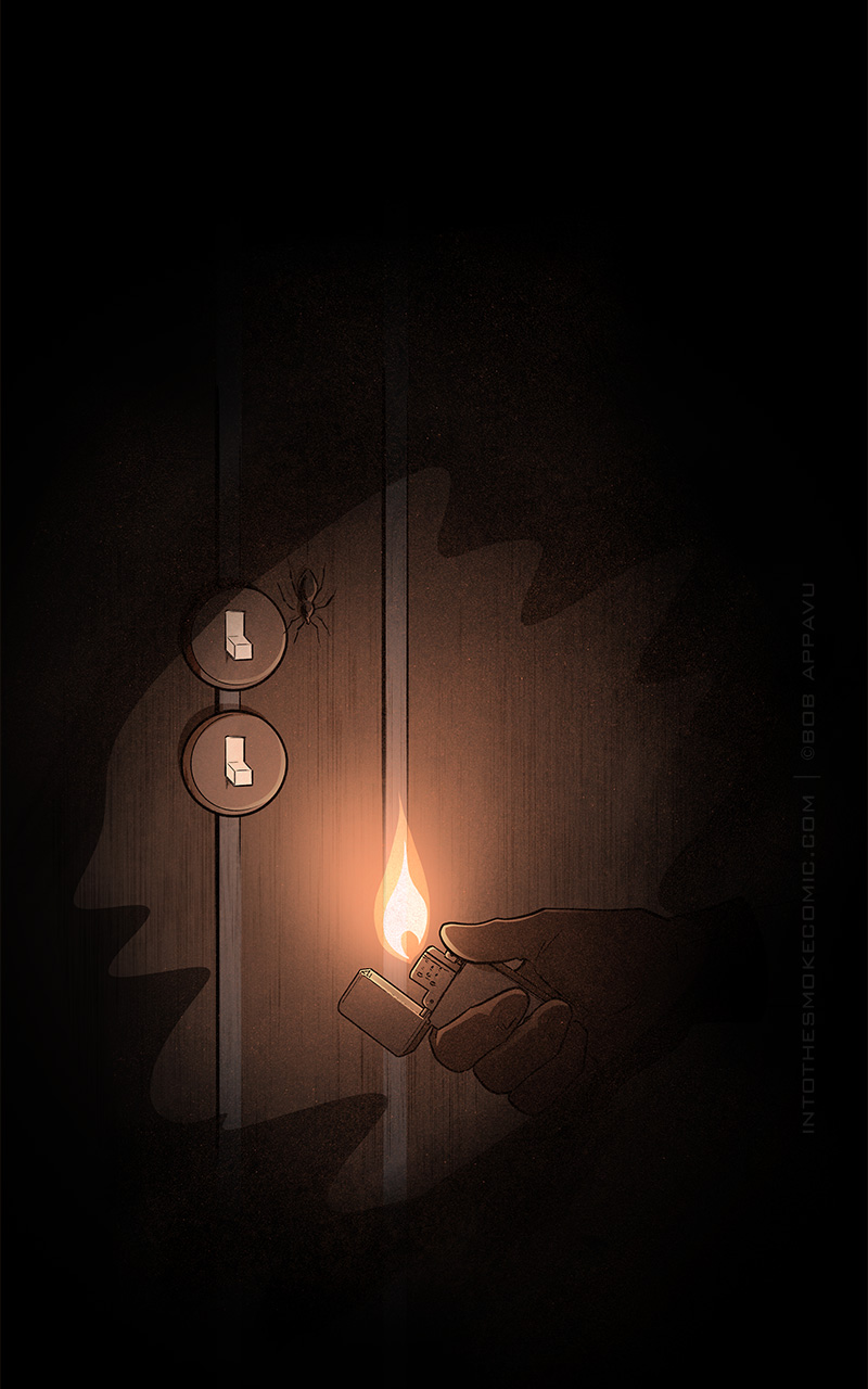 He lowers the lighter and reveals a spider hanging beside two light switches in the “off” position.